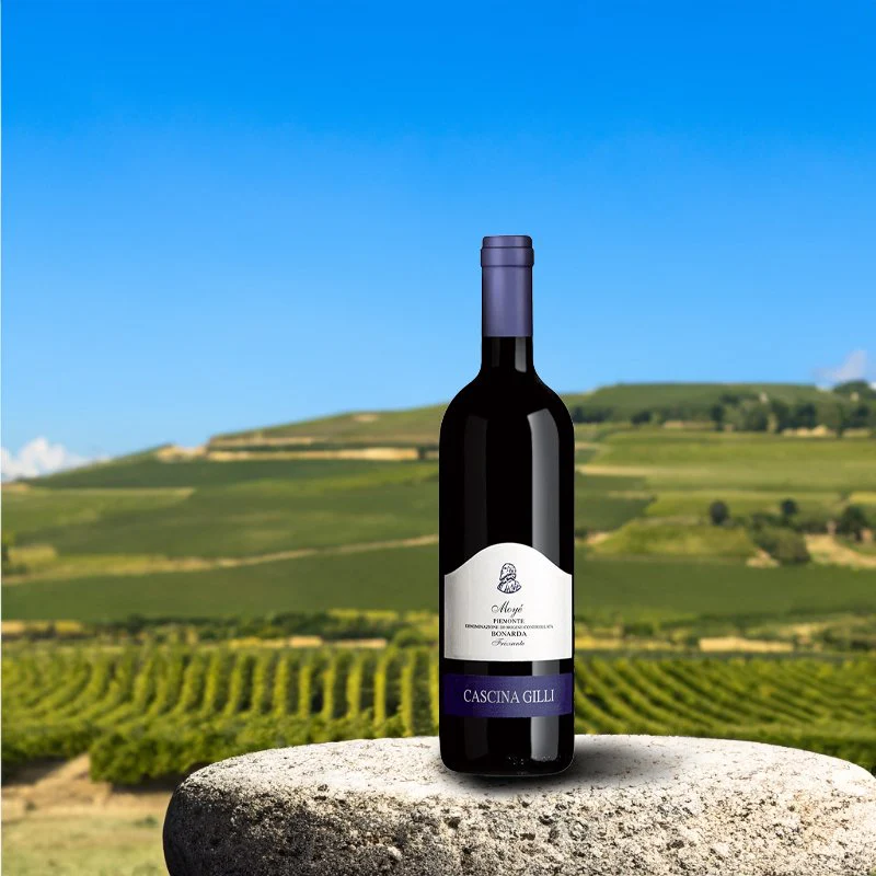 Moye Bonarda Frizzante Piemonte DOC 2022 Cascina Gilli - immagine 2
