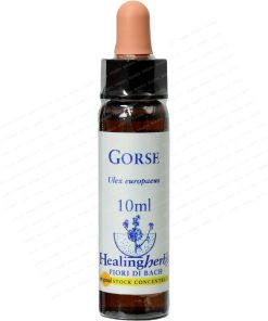 Gorse 10ml Healing herbs