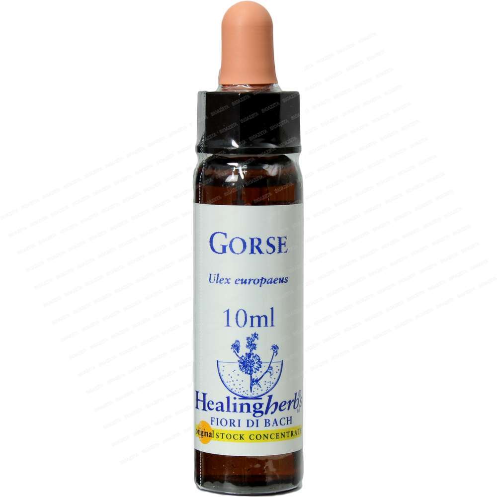 Gorse 10ml Healing herbs