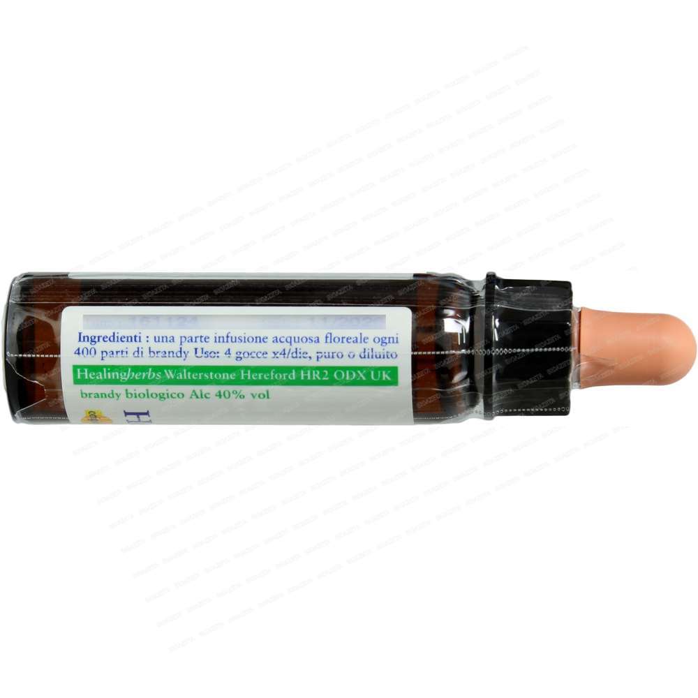 Gorse 10ml Healing herbs - immagine 2