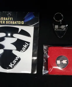 KIT ESTETICO KAWASAKI MOD.6