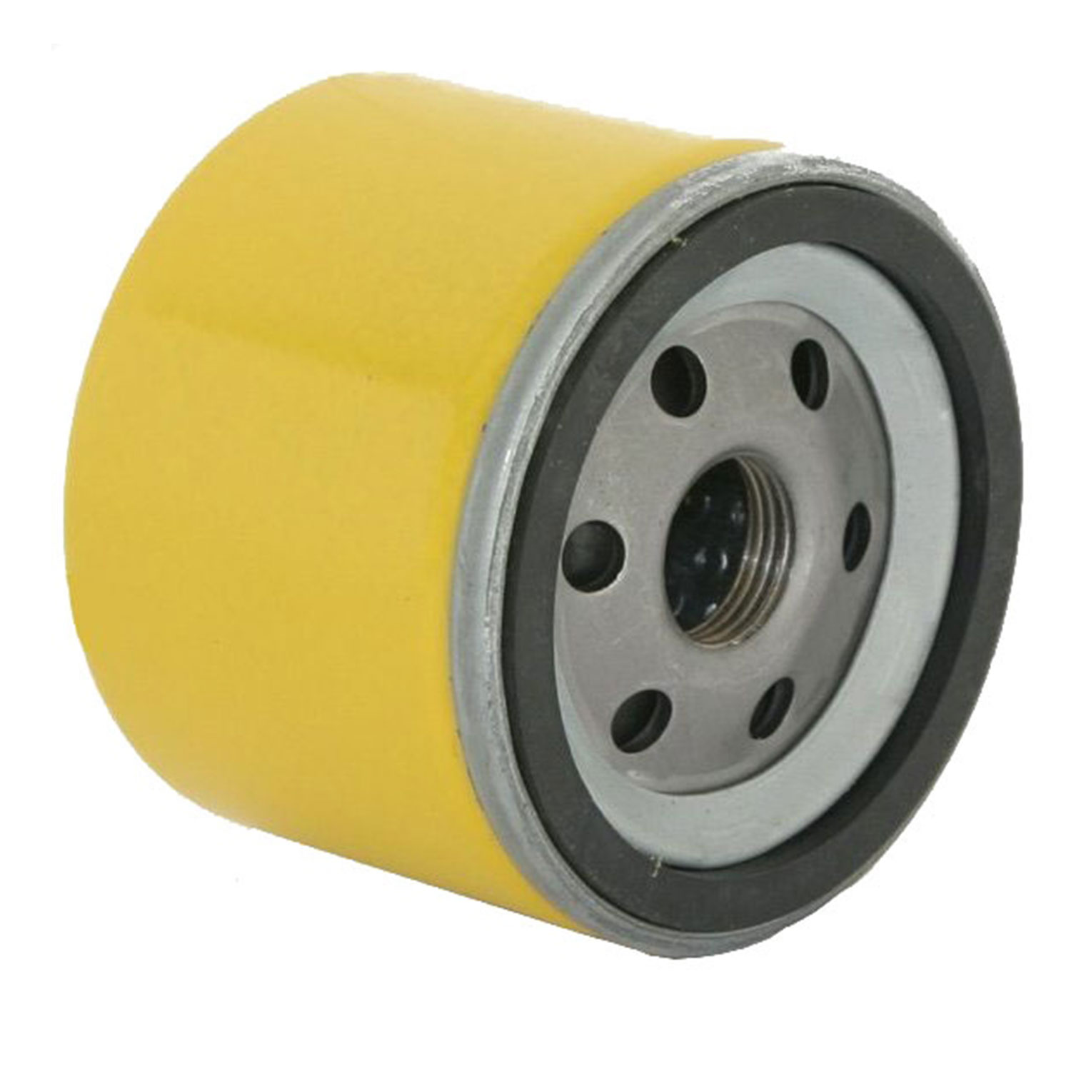 Filtro olio Briggs & Stratton Intek 280000, 310000, 400000