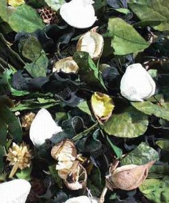 Pot pourry profumato passiflora verde 1kg