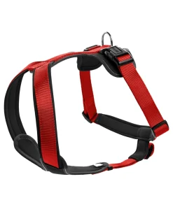 PETTORINA NEOPREN L 60-76CM/20MM ROSSO