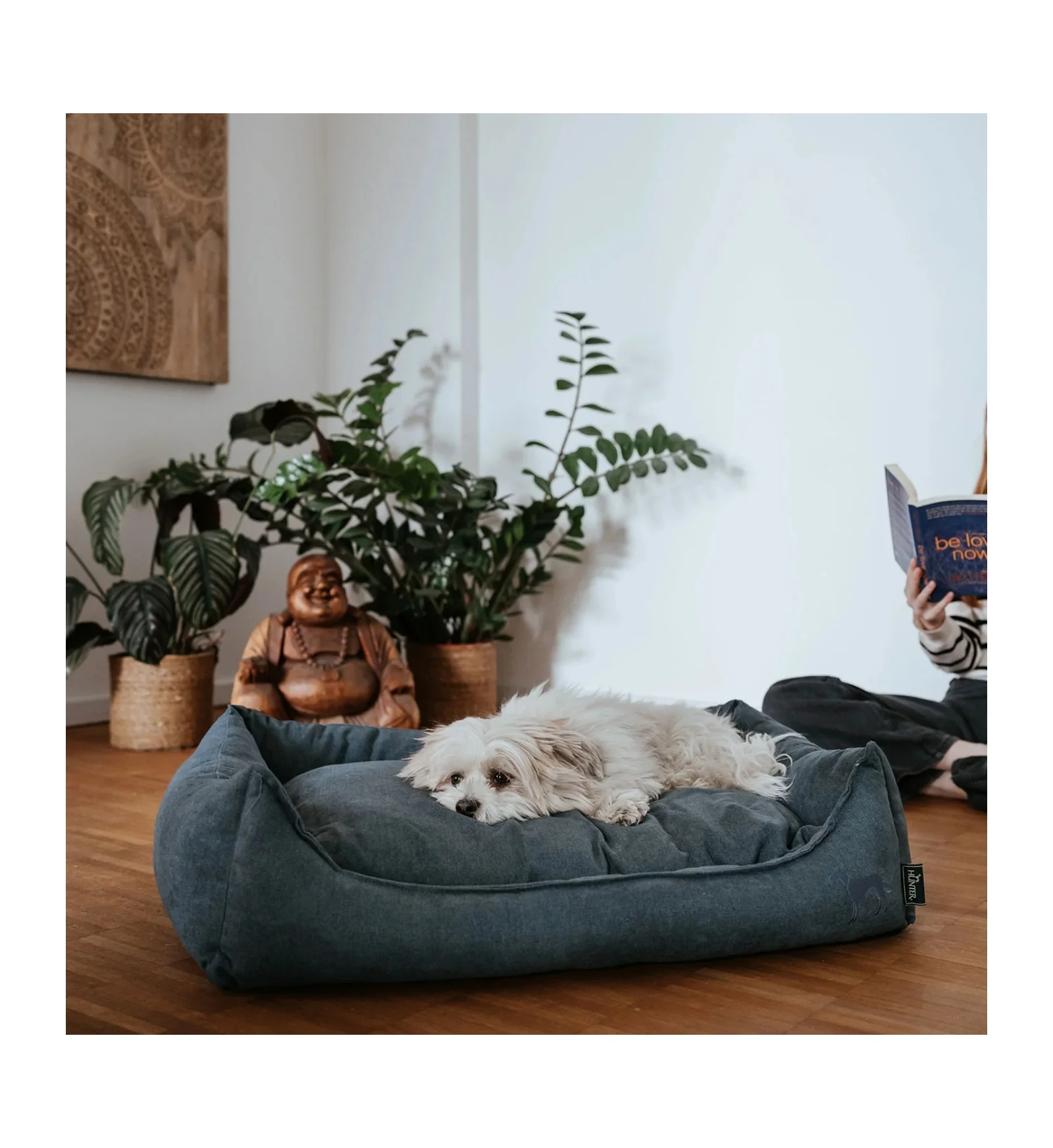 HUNTER CANE SOFA EIBY 60 x 40 CM BLU - immagine 3