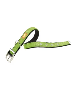FERPLAST CANE COLLARE DUAL CF 20 / 43 VERDE