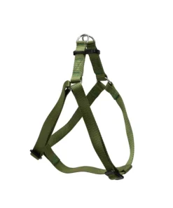 PETTORINA EASY P MEDIUM VERDE