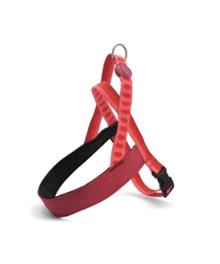 MORSO CANE PETTORINA NORVEGESE LIPSTICK SMALL