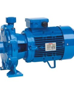 Elettropompa da superficie Speroni 2CM 25/160BA monofase – 101082560